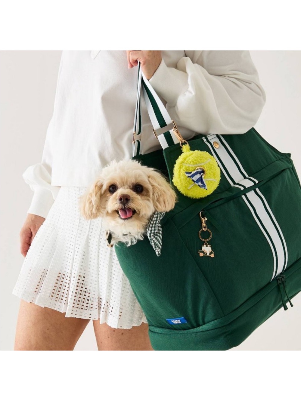 Hooray House Pet Carrier - Picture 2 of 8